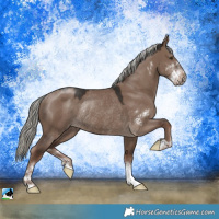 Horse Color:Liver Red Dun Mushroom Sabino Rabicano