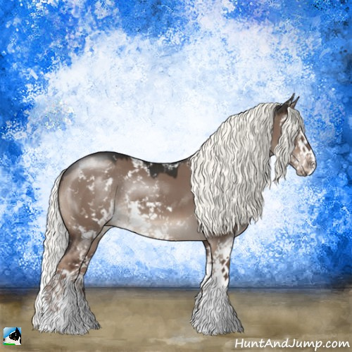 Horse Color:Liver Red Dun Mushroom Sabino Splash Rabicano 