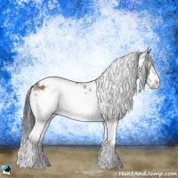 Horse Color:Brown Onyx Sabino Splash Rabicano Brindle