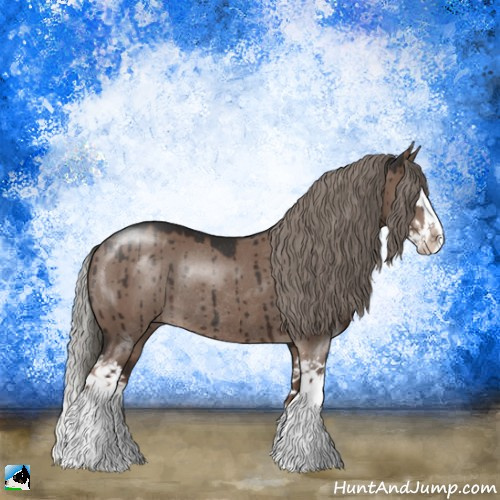 Horse Color:Liver Red Dun Mushroom Sabino Splash Rabicano Brindle 
