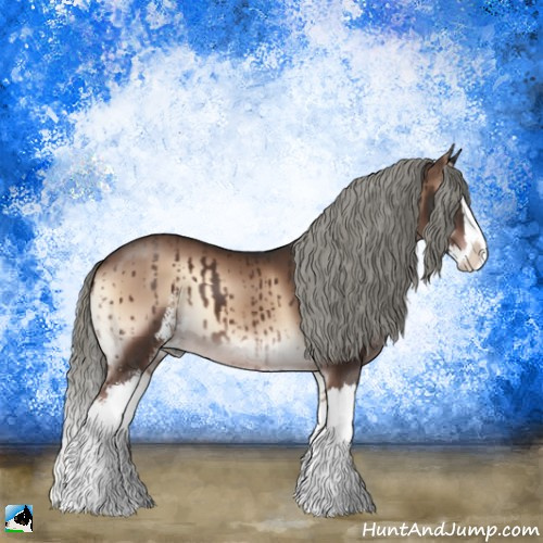 Horse Color:Liver Red Onyx Mushroom Sabino Splash 