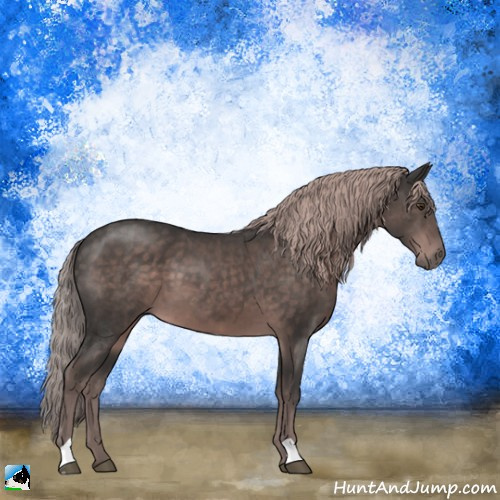 Horse Color:Platinum Liver Chestnut 