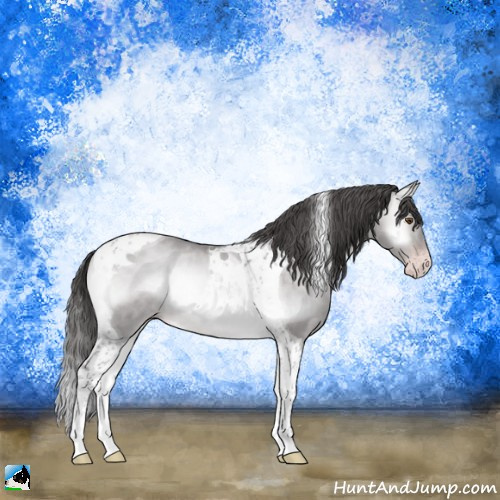 Horse Color:Platinum Sable Cream Champagne Onyx Tobiano 