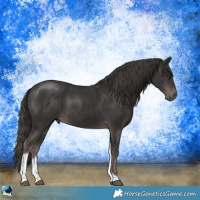 Horse Color:Platinum Liver Chestnut Tobiano Rabicano