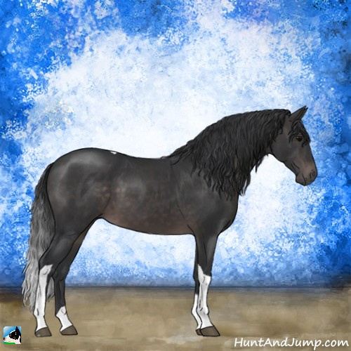 Horse Color:Platinum Brown Tobiano Rabicano 