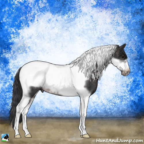 Horse Color:Platinum Brown Tobiano Frame Rabicano 