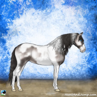 Horse Color:Platinum Liver Red Onyx Tobiano Frame Rabicano