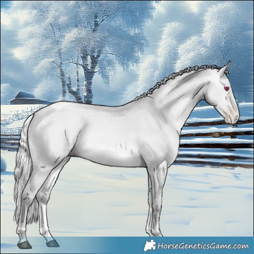 Horse Color:Silver Brown Chinchilla Pearl Dun Tobiano 