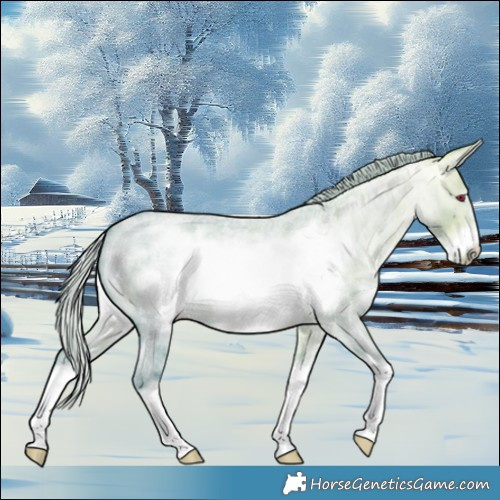 Horse Color:Watercolor Silver Brown Chinchilla Ice Roan Dun Sabino Frame