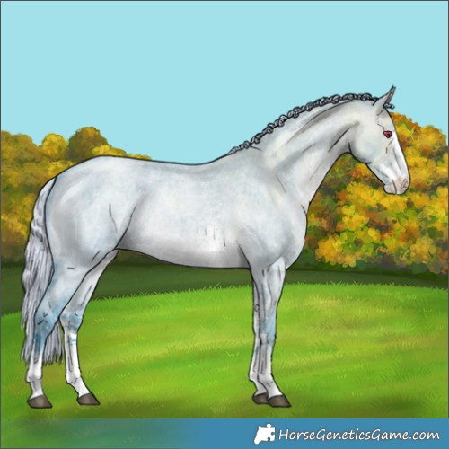 Horse Color:Watercolor Silver Brown Chinchilla Ice Roan Dun Sabino 
