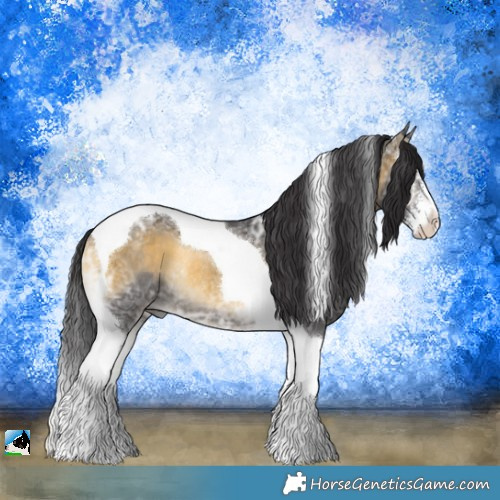 Horse Color:Buckskin Ice Onyx Sabino Tobiano Rabicano