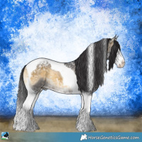 Horse Color:Buckskin Ice Onyx Sabino Tobiano Rabicano 