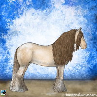Horse Color:Buckskin Ice Pearl Sabino Rabicano 
