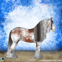Horse Color:White Spotted Liver Chestnut Ice Sabino Splash Rabicano 