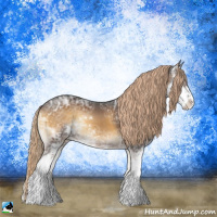 Horse Color:Chocolate Palomino Ice Onyx Sabino Rabicano 