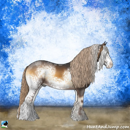 Horse Color:White Spotted Chocolate Palomino Ice Onyx Sabino Rabicano 