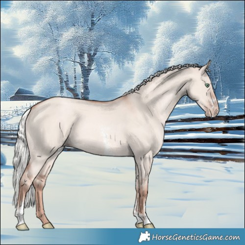 Horse Color:Gold Champagne Dun Mushroom Sabino 