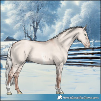 Horse Color:Gold Champagne Dun Mushroom Sabino 