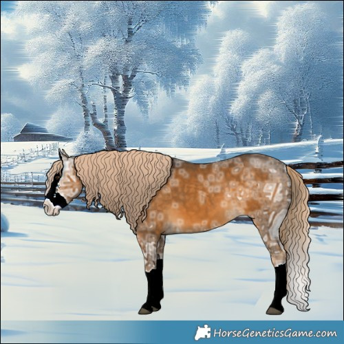 Horse Color:Chocolate Palomino Ice Sabino Splash 