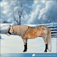 Horse Color:Chocolate Palomino Ice Sabino Splash
