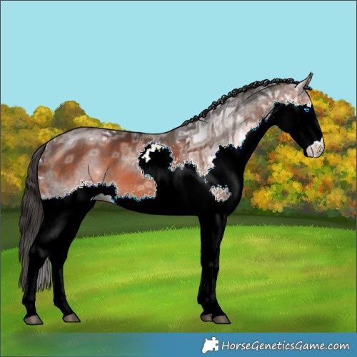 Horse Color:Brown Ice Splash 