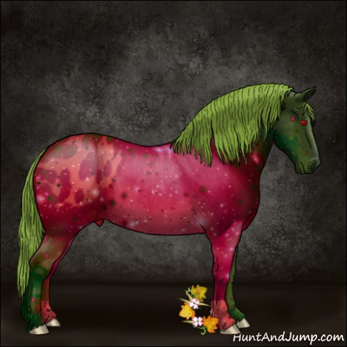 Horse Color:ERROR: UNKNOWN ANOMALY