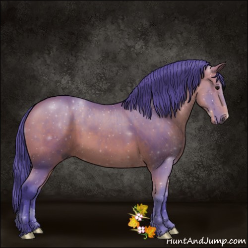 Horse Color:Watercolor Bay 