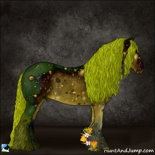 Horse Color:ERROR: UNKNOWN ANOMALY