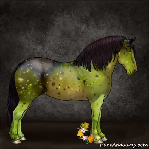 Horse Color:ERROR: UNKNOWN ANOMALY
