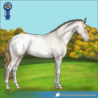 Horse Color:Buckskin Roan Pearl Dun Tobiano Appaloosa Rabicano 