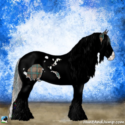 Horse Color:Plaid  Brown Splash Tobiano Rabicano 