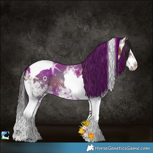 Horse Color:Bay Ice Sabino Splash Tobiano