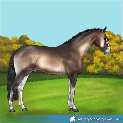 Horse Color:Brown Onyx 