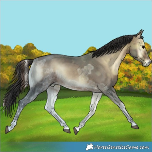 Horse Color:Brown Ice Onyx 
