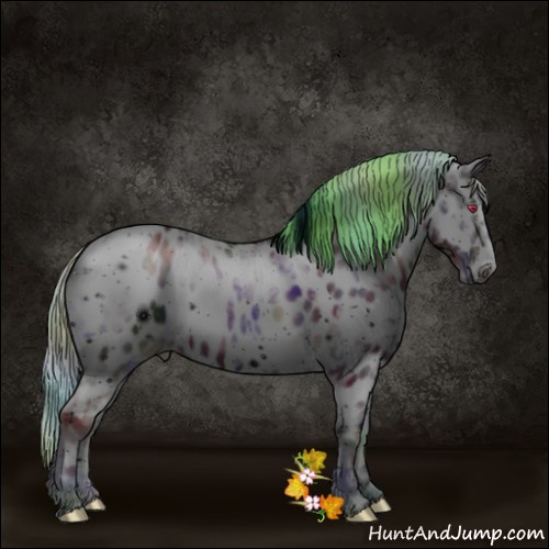 Horse Color:ERROR: UNKNOWN ANOMALY