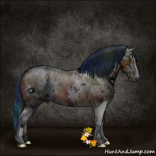 Horse Color:ERROR: UNKNOWN ANOMALY