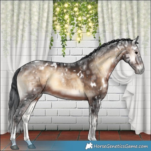 Horse Color:White Spotted Brown Ice Onyx Tobiano Rabicano 