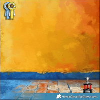 Horse Color:Brown Onyx