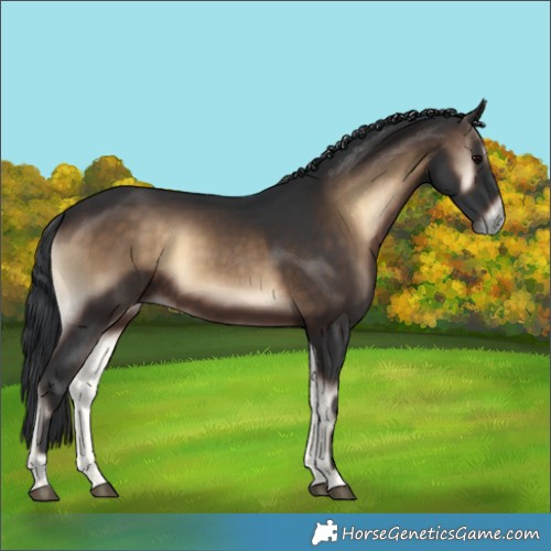 Horse Color:Brown Onyx 
