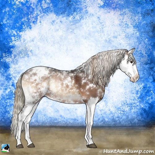 Horse Color:Liver Red Onyx Ice Sabino Splash 