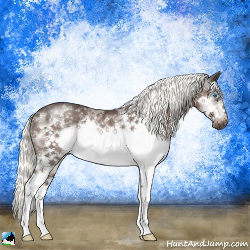 Horse Color:Liver Chestnut Mushroom Splash Frame Rabicano 