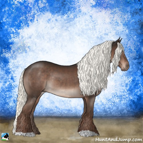 Horse Color:Liver Chestnut Mushroom Rabicano 