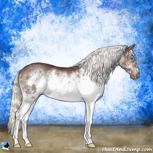 Horse Color:Liver Chestnut Mushroom Splash Frame Rabicano 