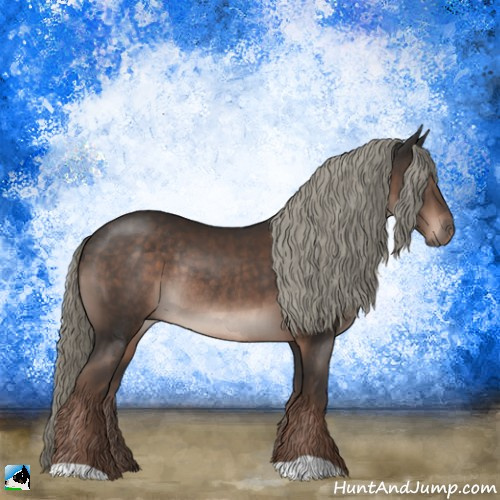 Horse Color:Liver Chestnut Mushroom Rabicano 