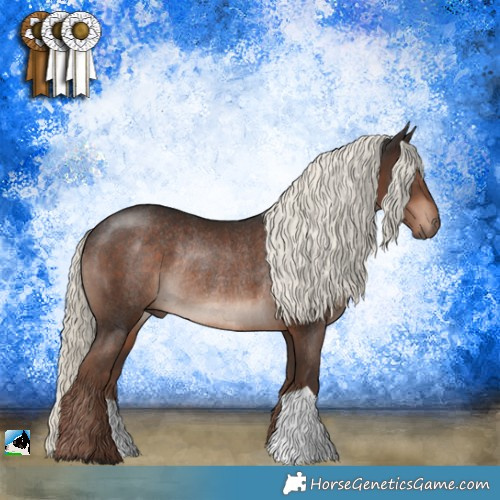 Horse Color:Liver Chestnut Mushroom Rabicano 