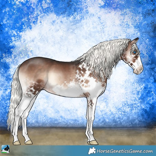 Horse Color:Liver Red Onyx Mushroom Splash 