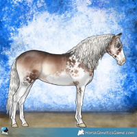 Horse Color:Liver Red Onyx Mushroom Splash 