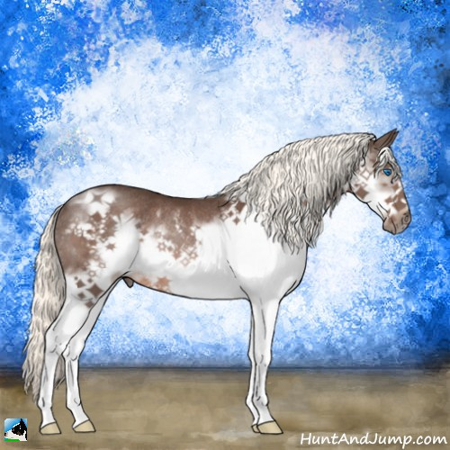 Horse Color:Liver Chestnut Mushroom Splash Frame Rabicano 