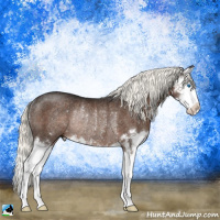 Horse Color:Liver Chestnut Mushroom Splash Rabicano 