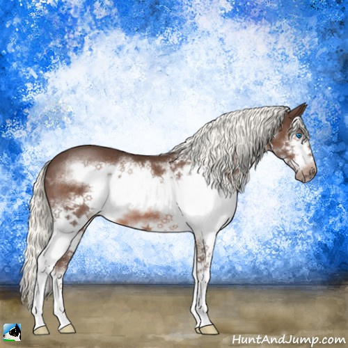 Horse Color:Liver Chestnut Mushroom Splash Frame 